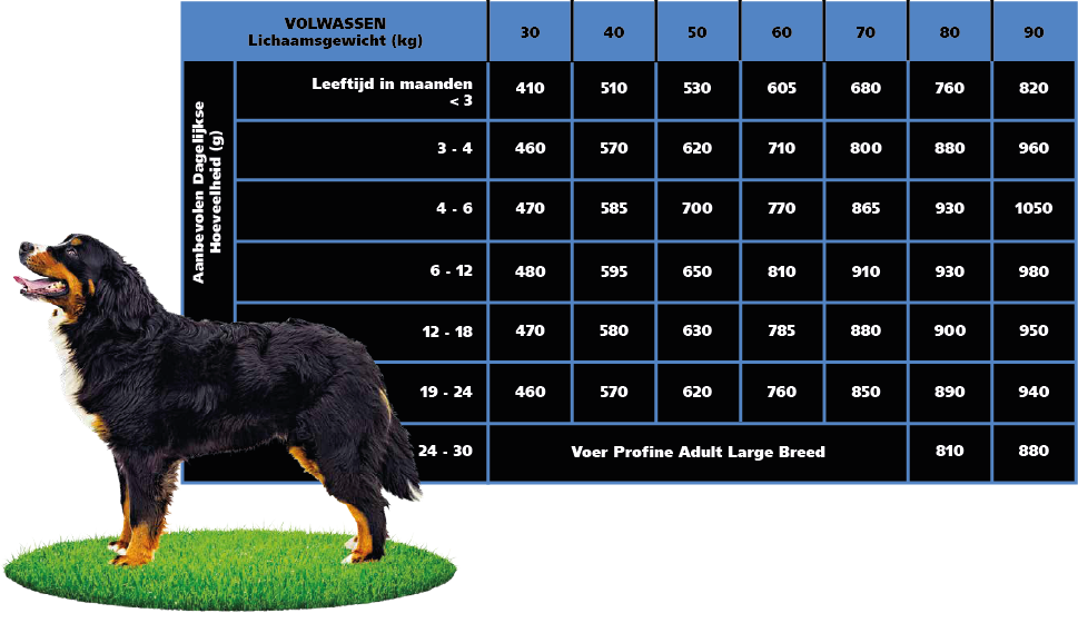 Profine Junior Large Breed Chicken & Potatoes Feeding Table