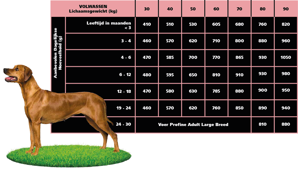 Profine Junior Large Breed Salmon & Potatoes Feeding Table